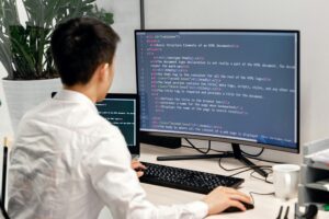 custom software development